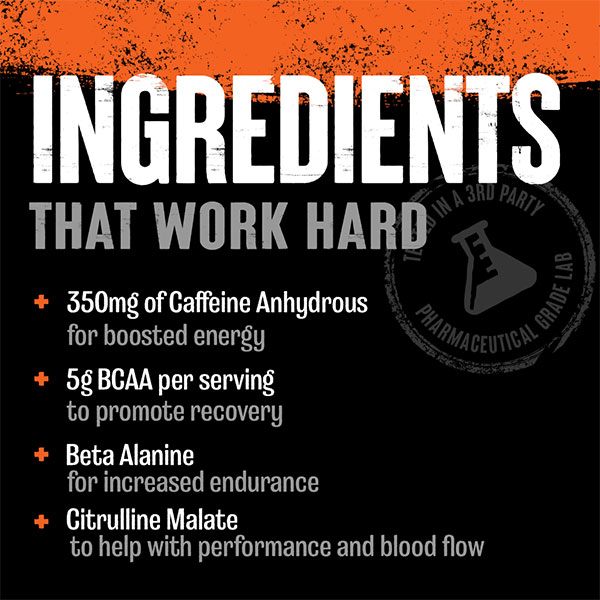 Universal Nutrition Animal Fury PreWorkout *20 Serv*
