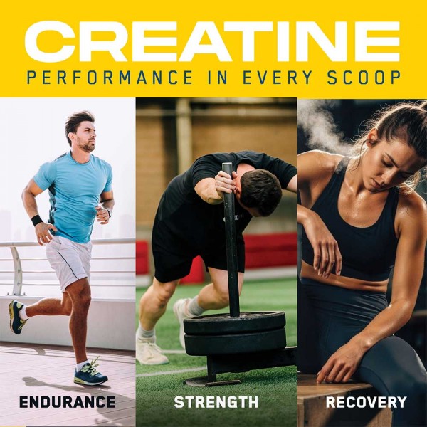 Applied Nutrition Creatine + Peptides - 222g