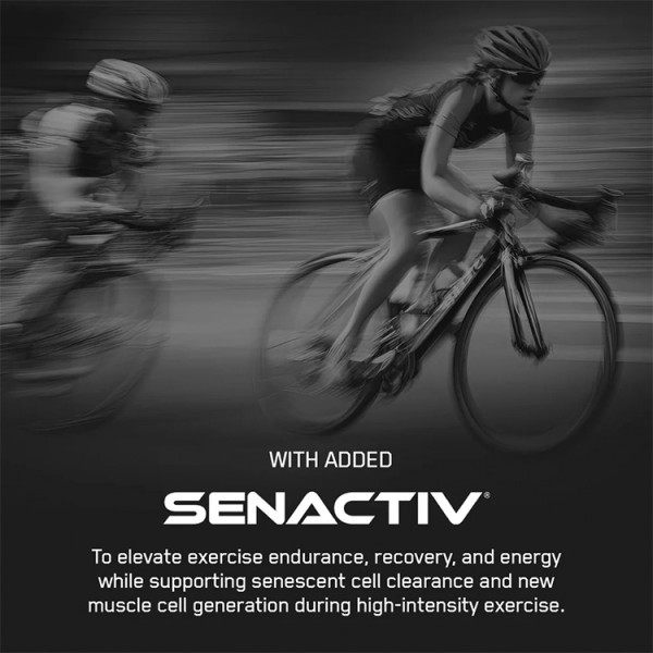 Applied Endurance  Elite Performace Energy Gel - 20 x 60ml