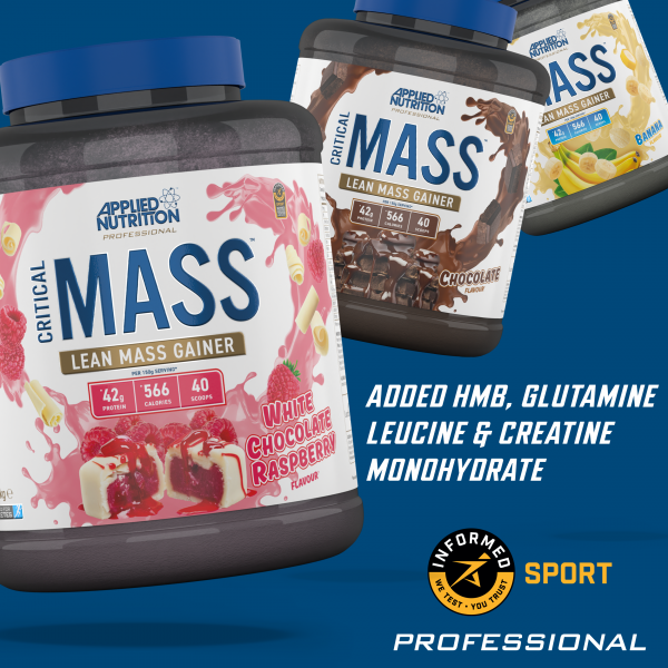 Applied Nutrition Critical Mass Professional 2.4kg + Free Creatine 250g + Free ABE Shaker