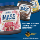Applied Nutrition Critical Mass Professional 2.4kg + Free Creatine 250g + Free ABE Shaker