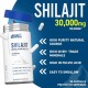 Applied Nutrition Shilajit 90 Capsules
