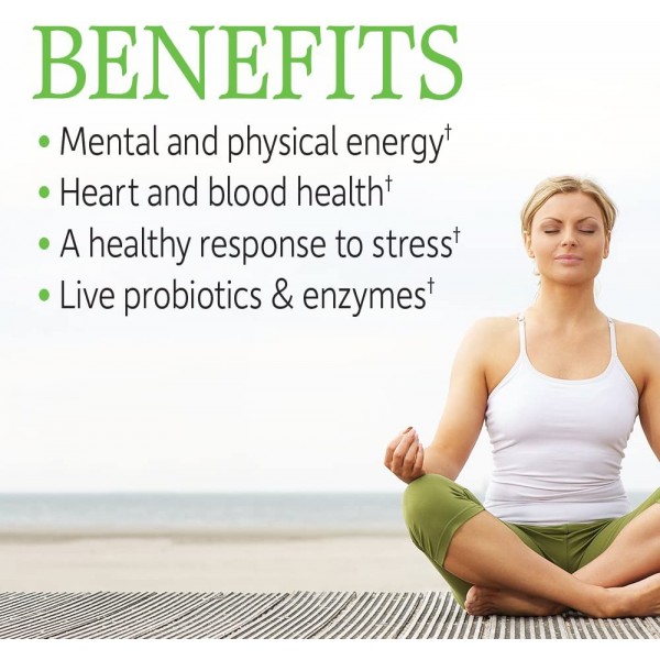 Garden of Life Vitamin Code RAW B-Complex + Probiotics - 60 Vegan Caps