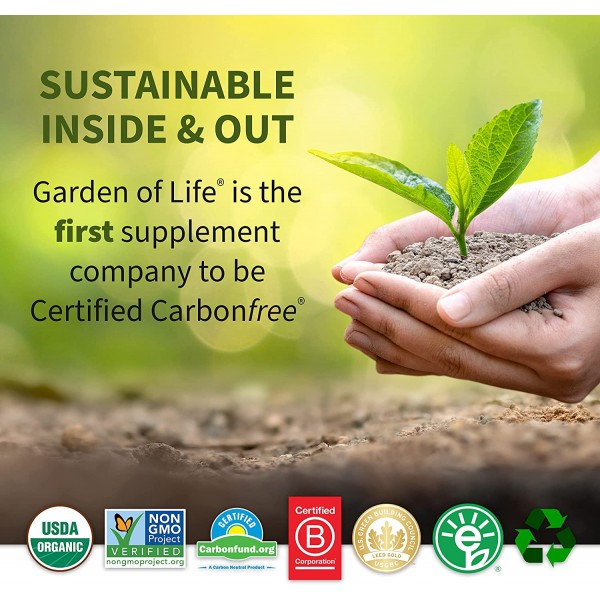 Garden of Life Vitamin Code RAW B-Complex + Probiotics - 60 Vegan Caps