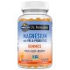 Garden of Life Dr. Formulated Magnesium - Probiotics - 60 Gummies
