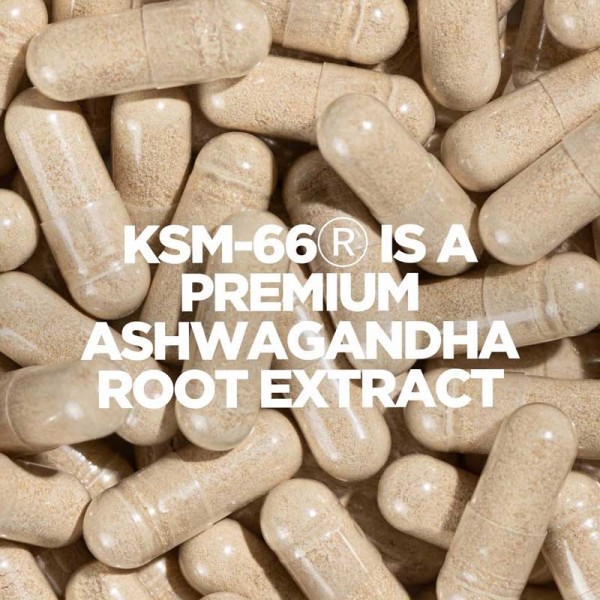 MyVitamins Ashwagandha KSM-66 Capsules