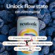 Neutonic Productivity Drink - 12 Cans