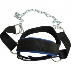 Power System 4039  HEAD HARNESS