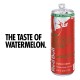 Red Bull Energy Red Watermleon Edition 250ml x 24