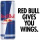 Red Bull Energy Drink 355ml x 24 Cans