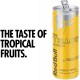 Red Bull Energy Tropical Edition 250ml x 24 Cans