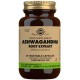 Solgar Ashwagandha Root Extract - 60 Vegetable Capsules