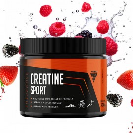 Trec Creatine Sport 300g